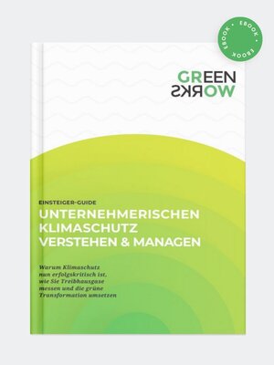cover image of Einsteiger-Guide